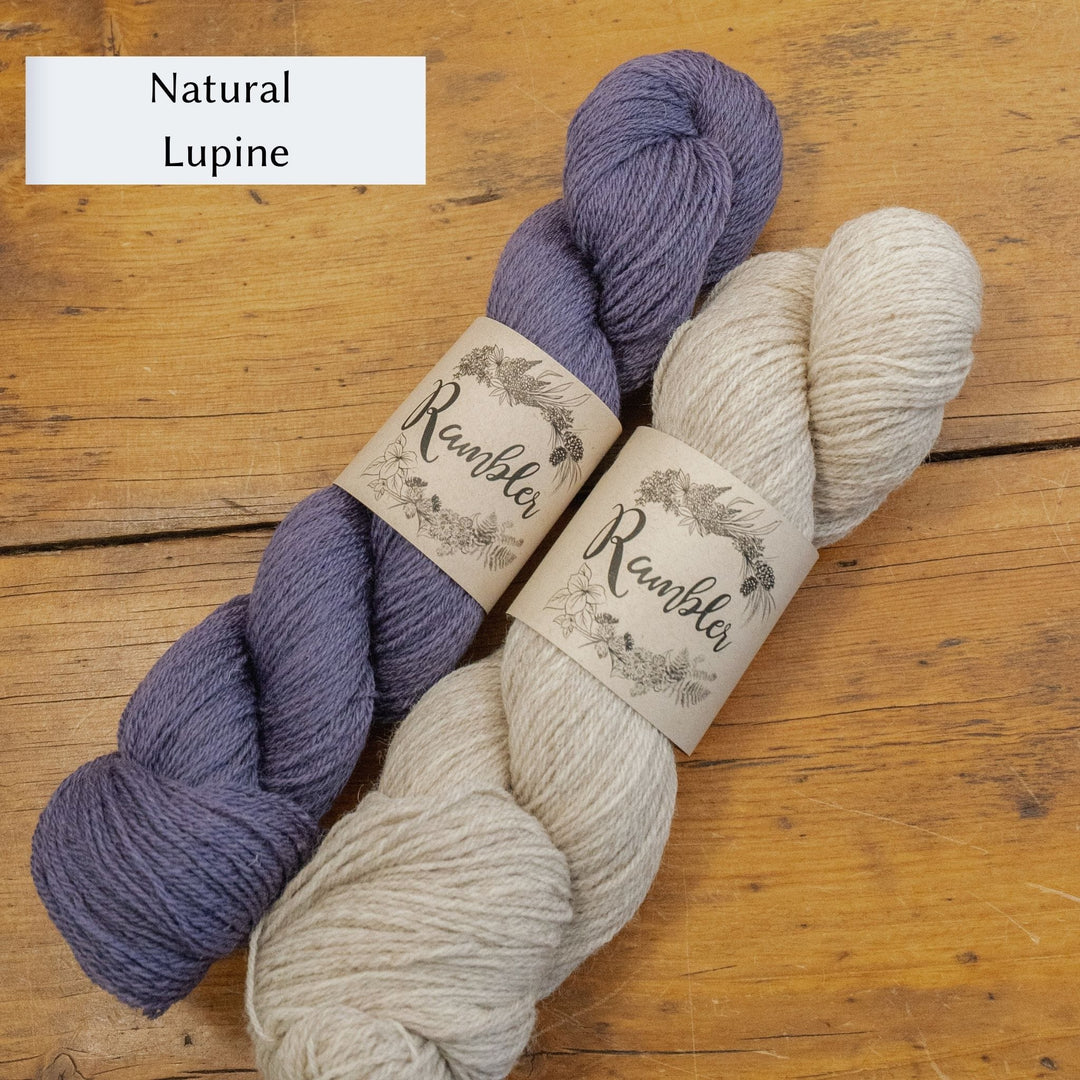 Hellebore Socks in Rambler by Jessica McDonald