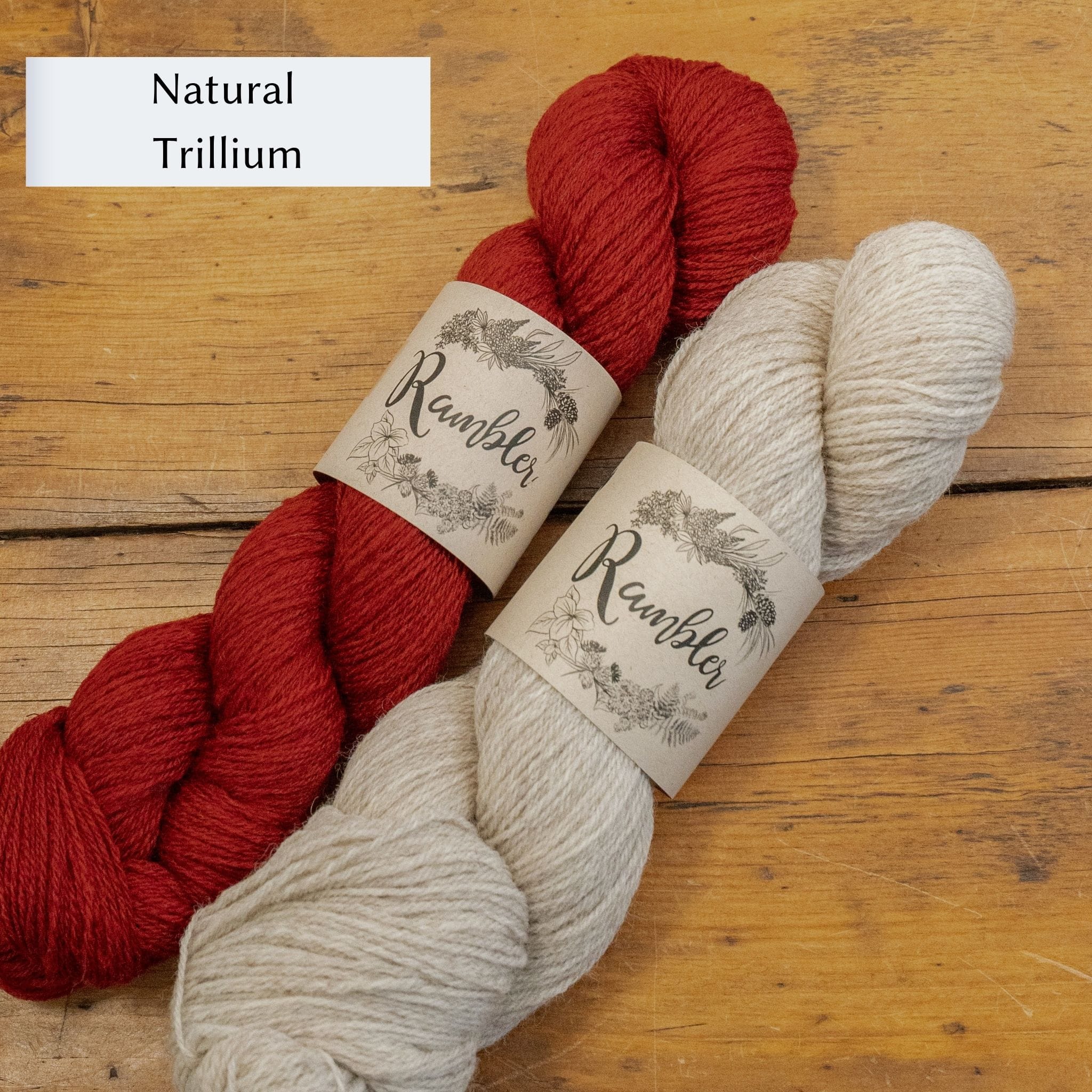 Hellebore Socks in Rambler by Jessica McDonald