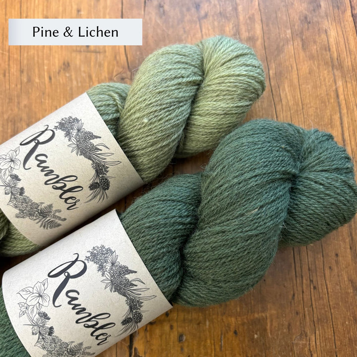 Burnside Socks Kit by Corinne Tomlinson in Rambler