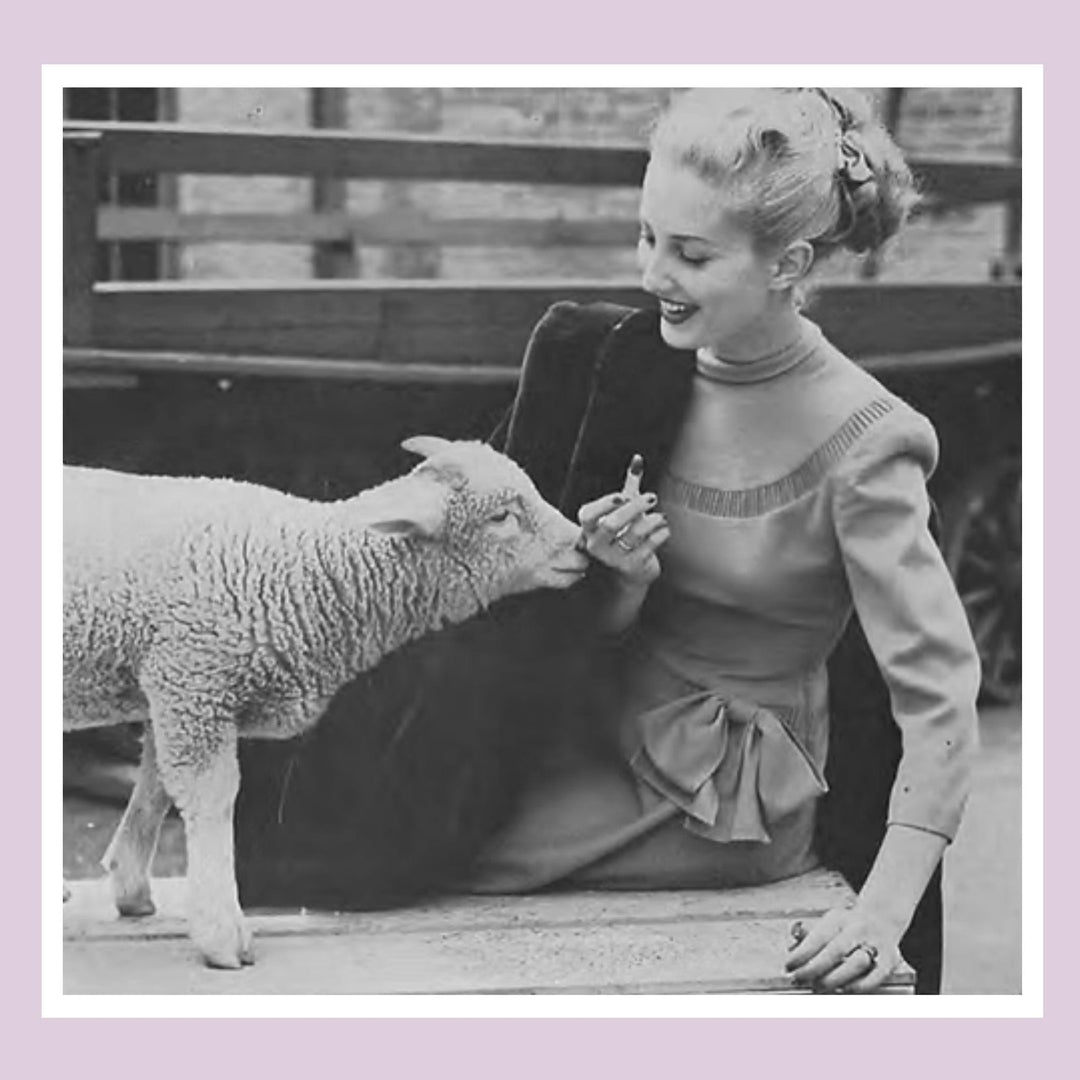Reinventing Wool by Melissa M. Littlefield