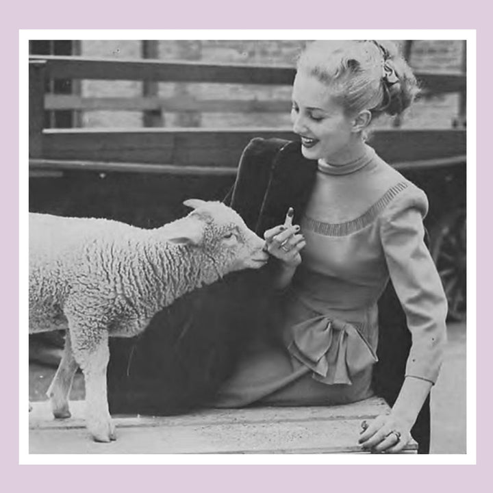 Reinventing Wool by Melissa M. Littlefield