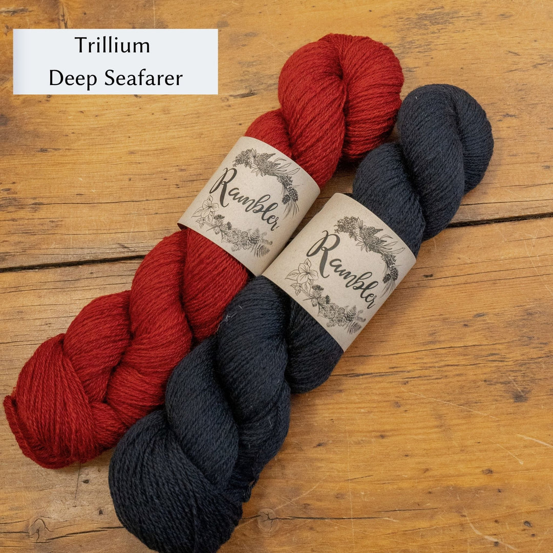 Hellebore Socks in Rambler by Jessica McDonald