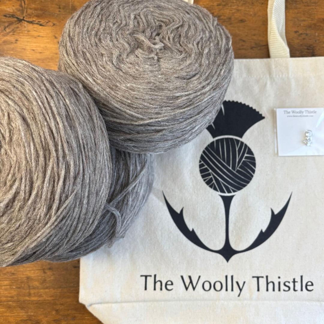 Vanilla's Big Sister Sweater by Corinne Tomlinson in WoolDreamers Manchelopis