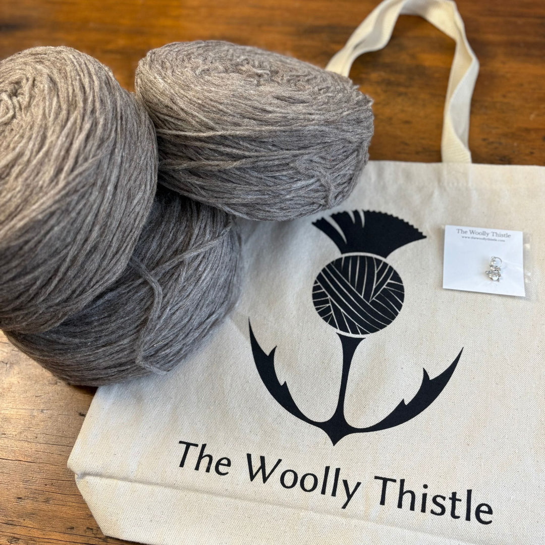 Vanilla's Big Sister Sweater by Corinne Tomlinson in WoolDreamers Manchelopis