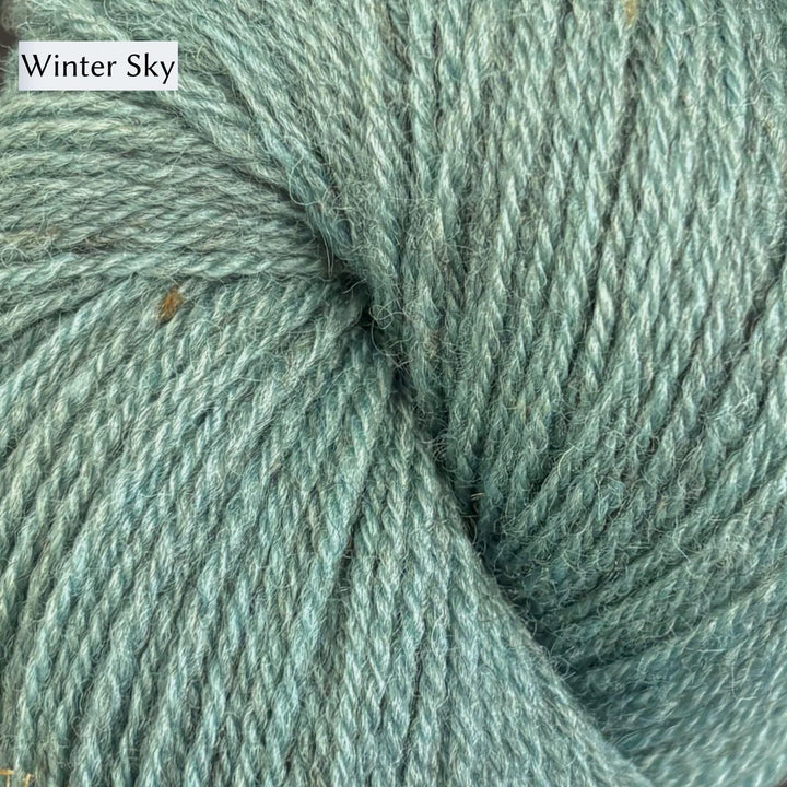 Rambler Yarn by The Woolly Thistle