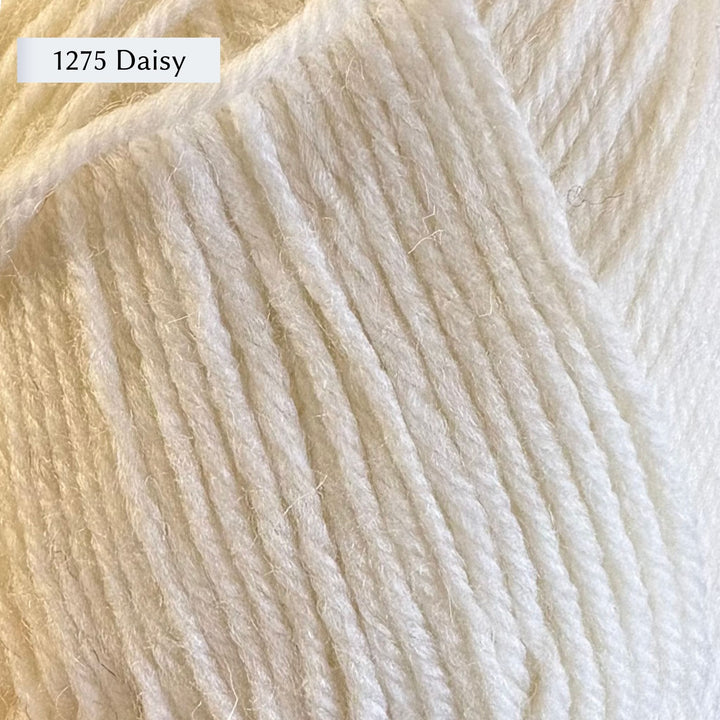 West Yorkshire Spinners (WYS) Morris DK