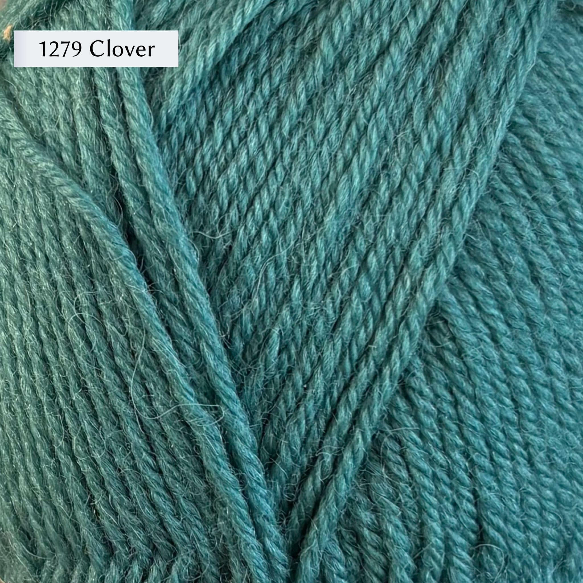 West Yorkshire Spinners (WYS) Morris DK