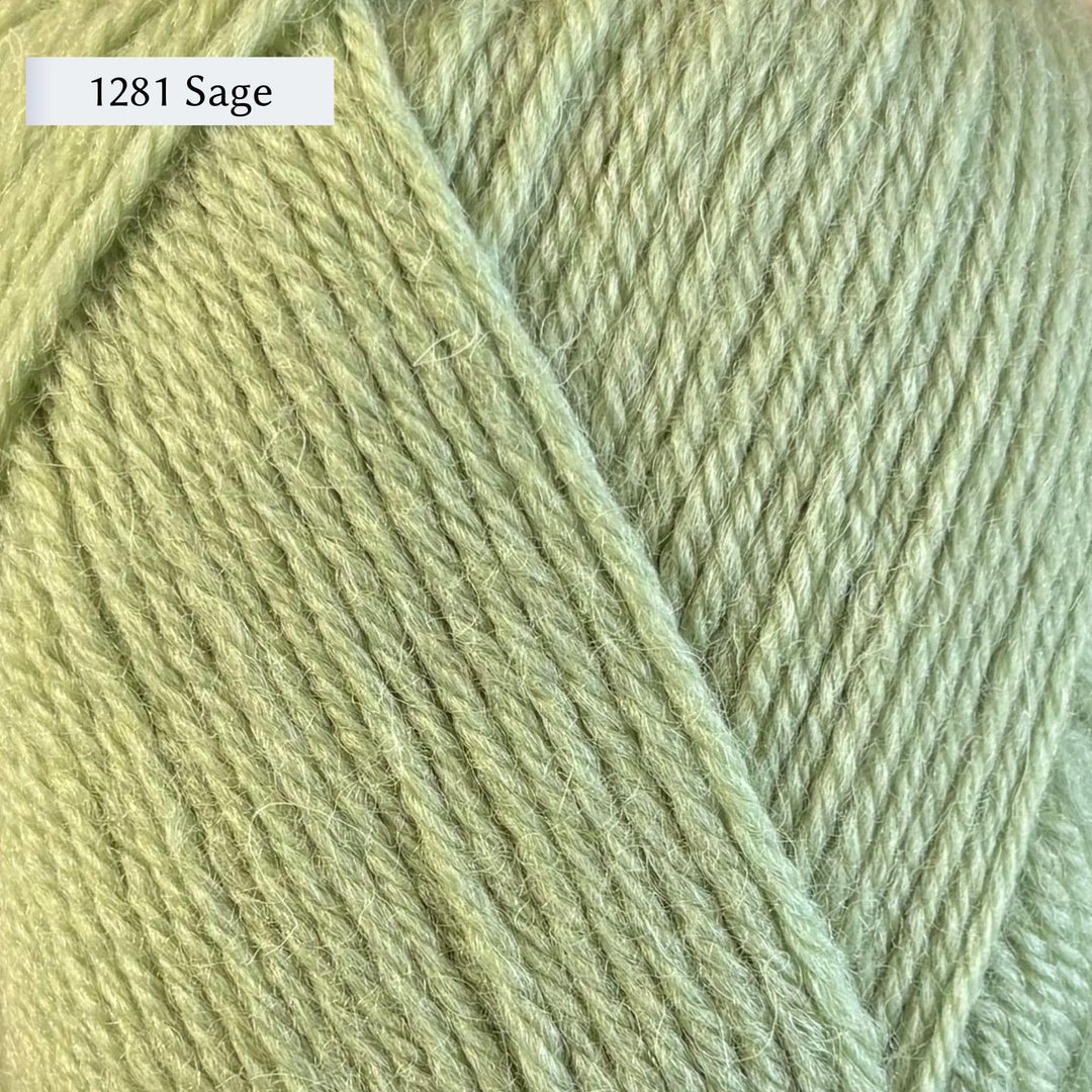 West Yorkshire Spinners (WYS) Morris DK