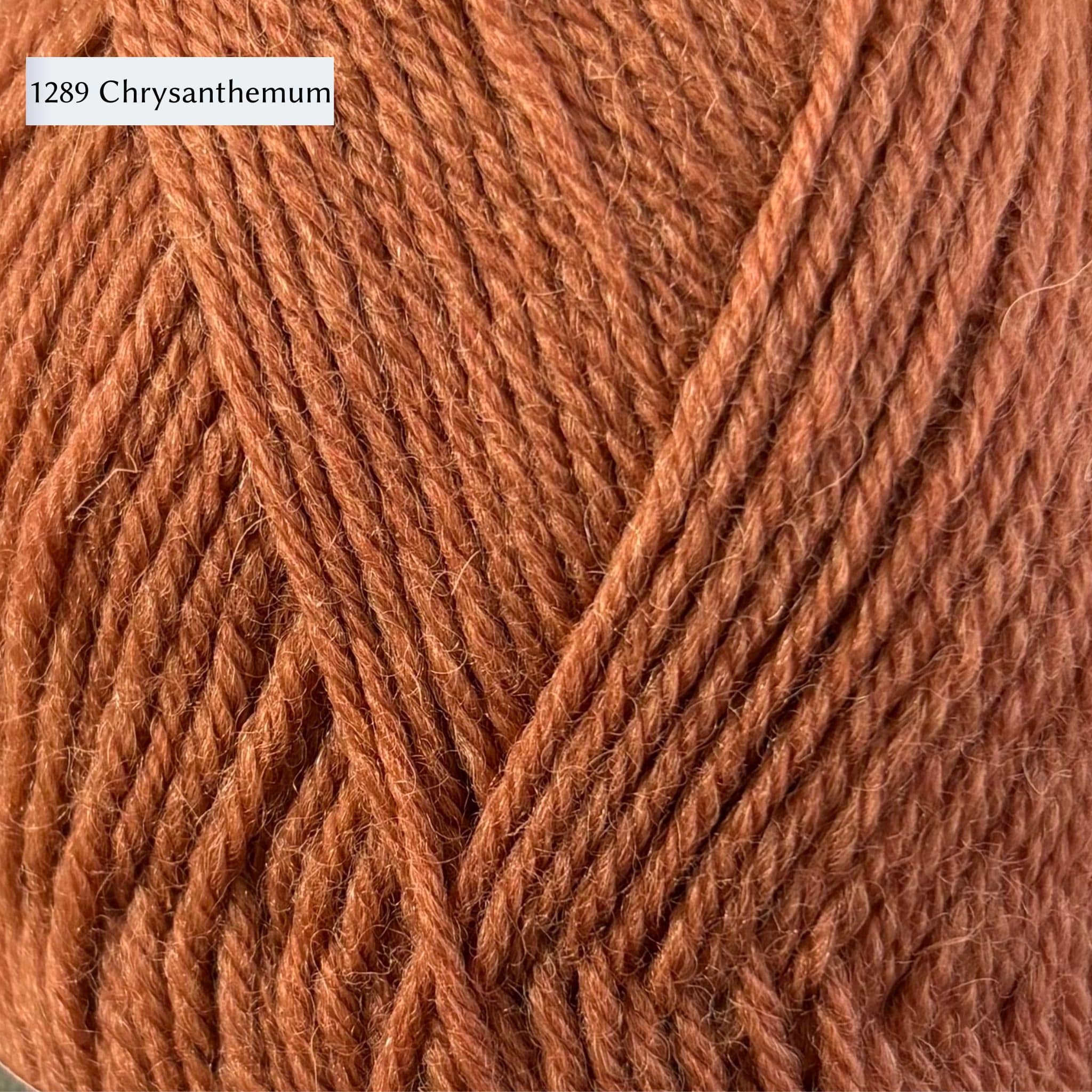 West Yorkshire Spinners (WYS) Morris DK