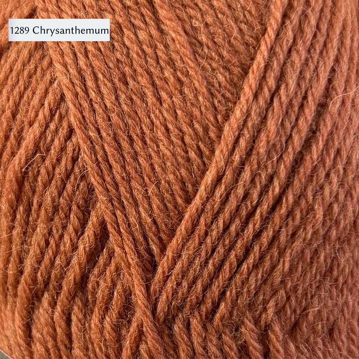 West Yorkshire Spinners (WYS) Morris DK