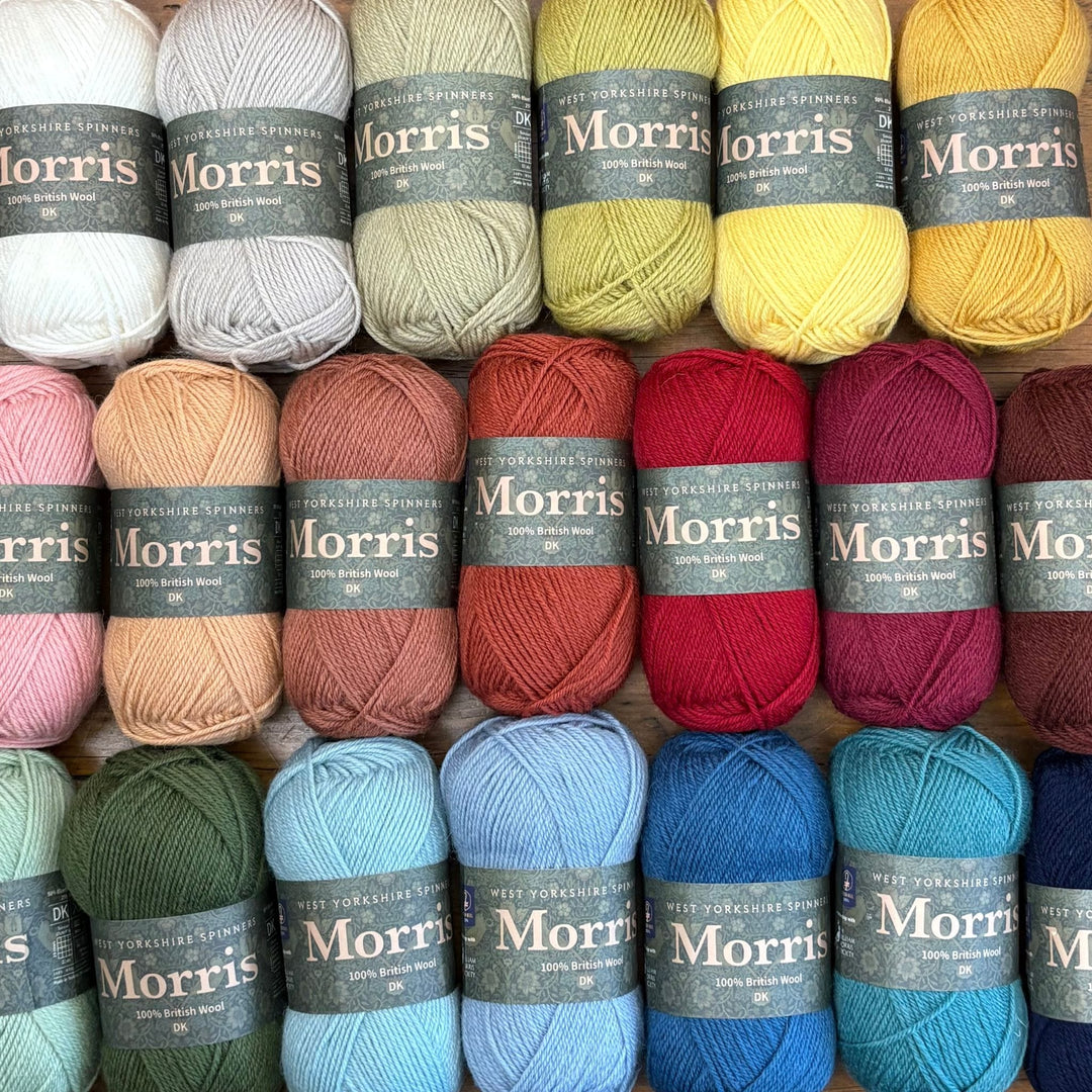 West Yorkshire Spinners (WYS) Morris DK