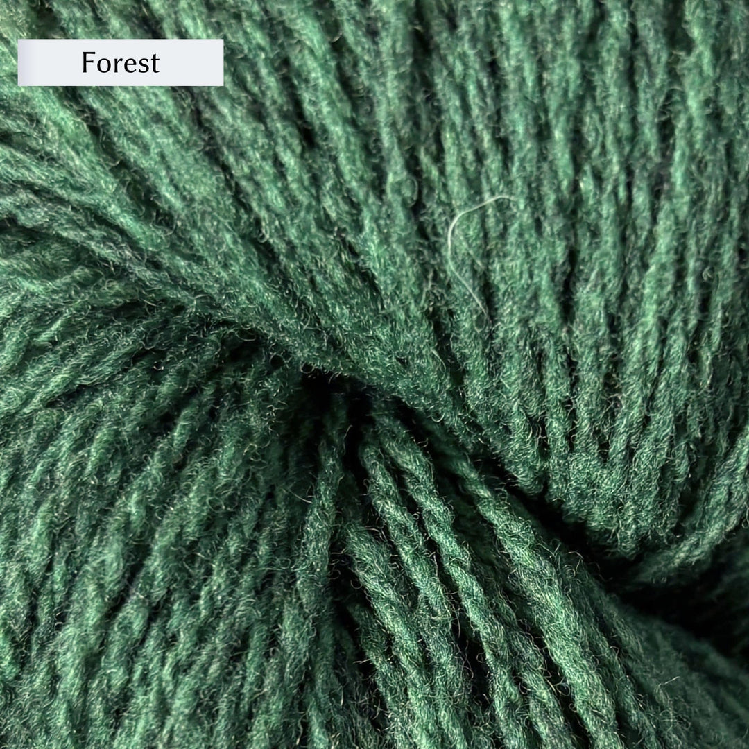 Wooldreamers 90 Varas