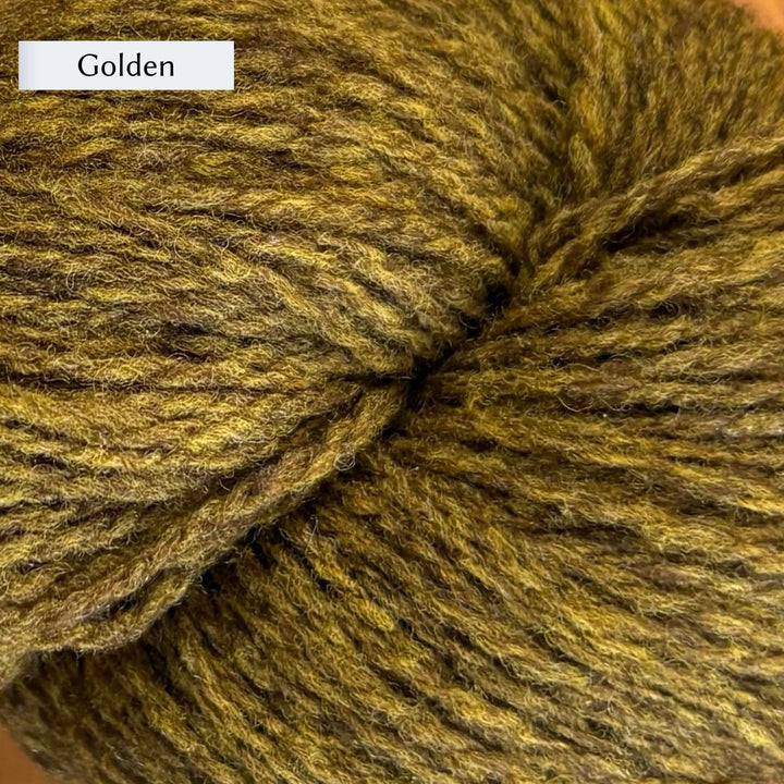 Wooldreamers 90 Varas