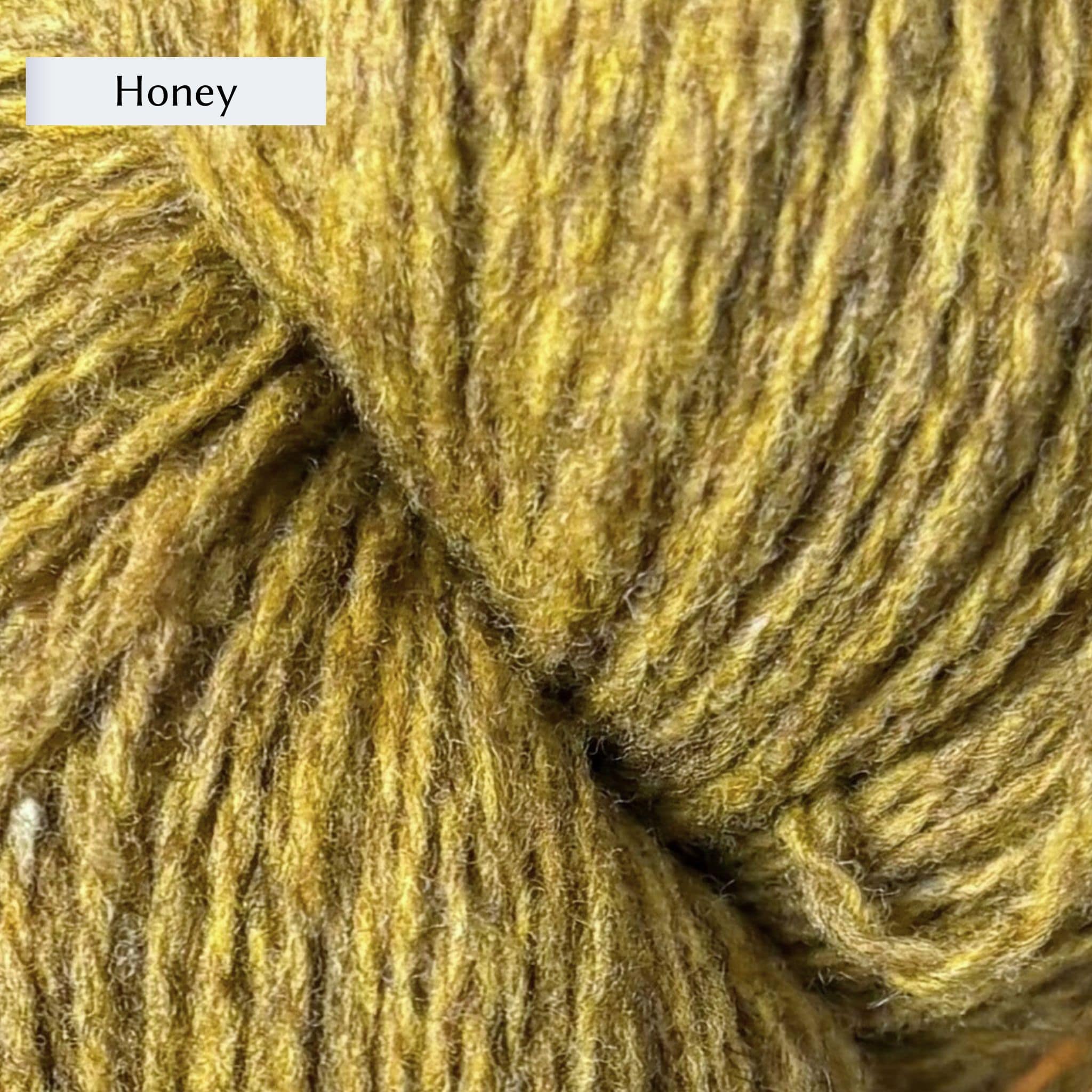 Wooldreamers 90 Varas