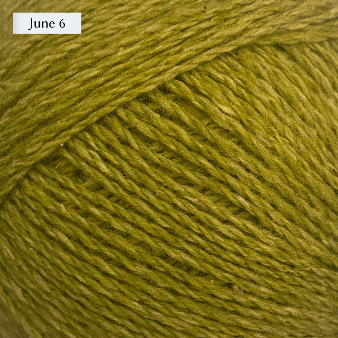 Wooldreamers Saona Yarn