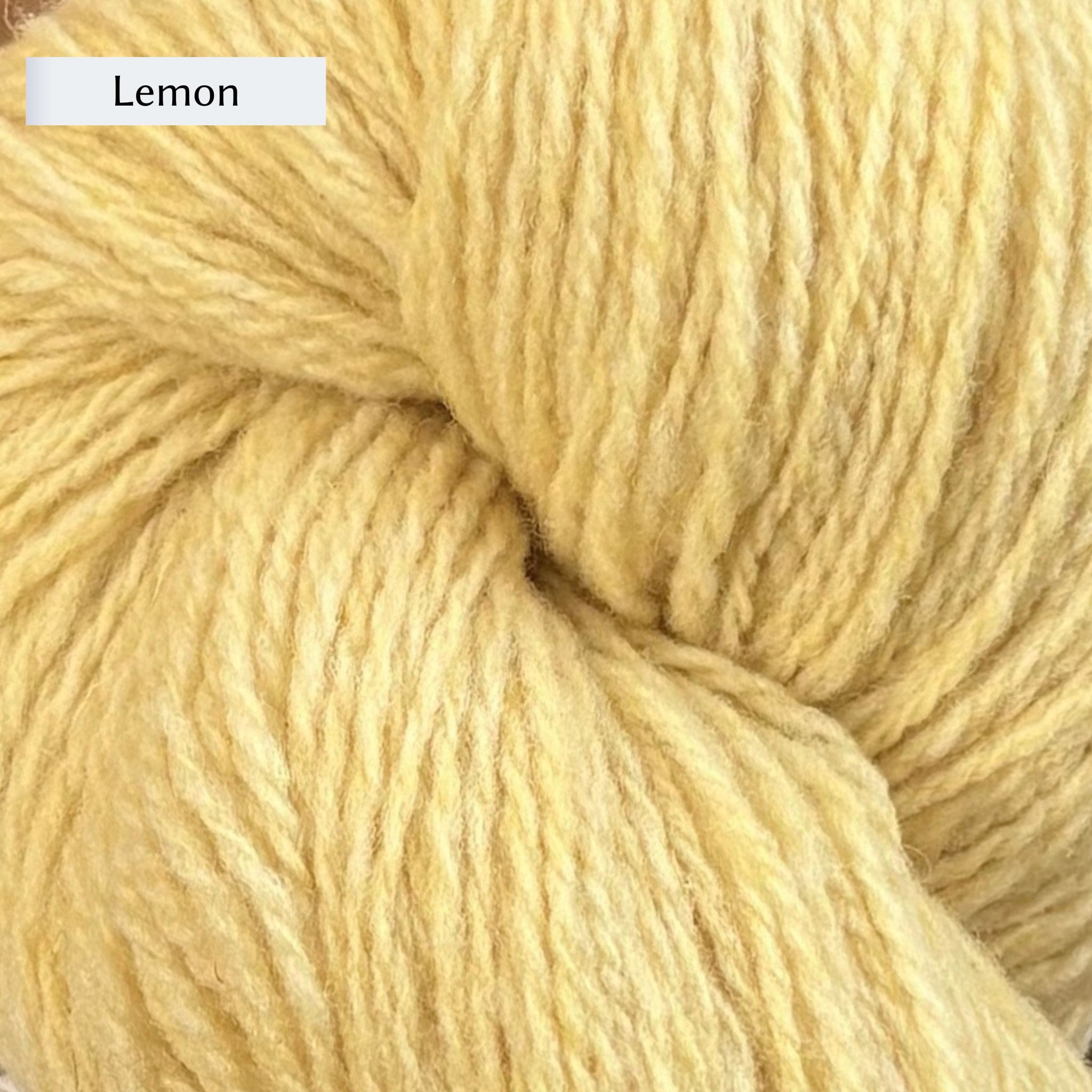 Wooldreamers 90 Varas