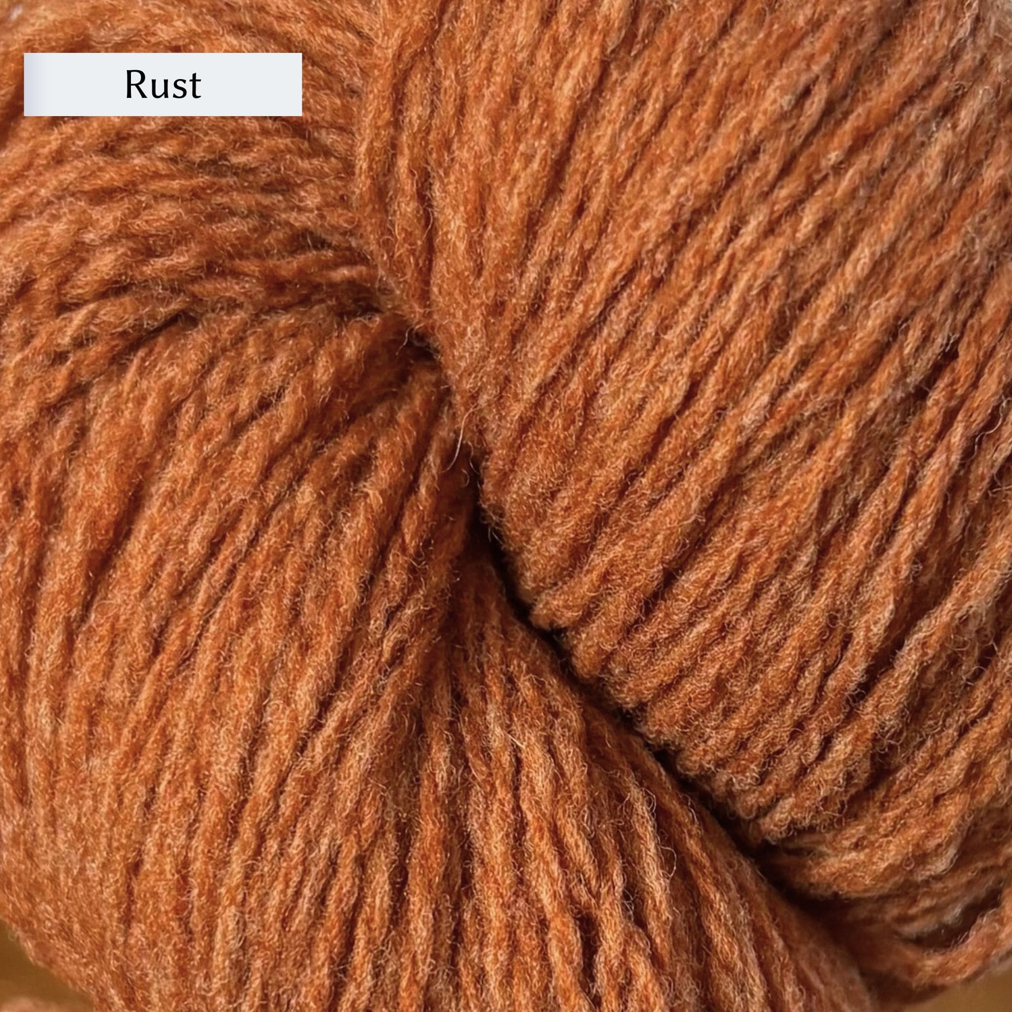 Wooldreamers 90 Varas