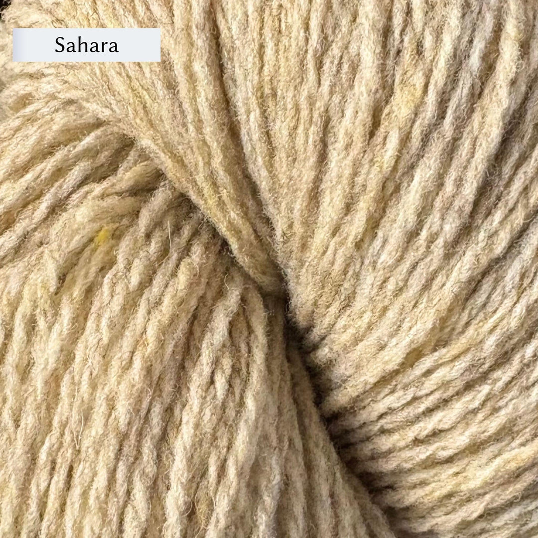 Wooldreamers 90 Varas