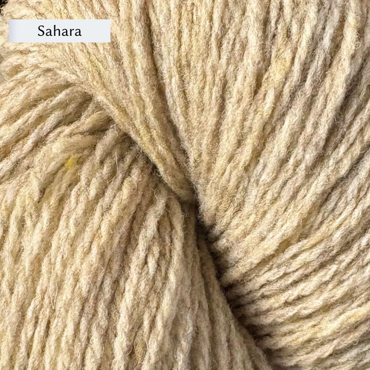 Wooldreamers 90 Varas