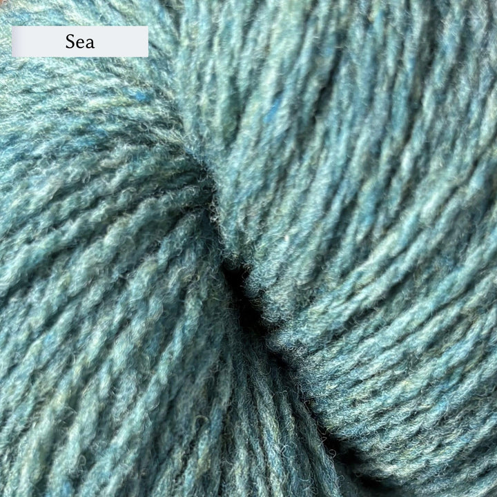 Wooldreamers 90 Varas