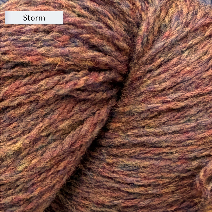 Wooldreamers 90 Varas