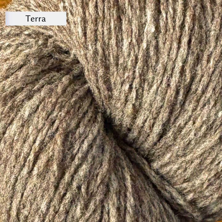 Wooldreamers 90 Varas