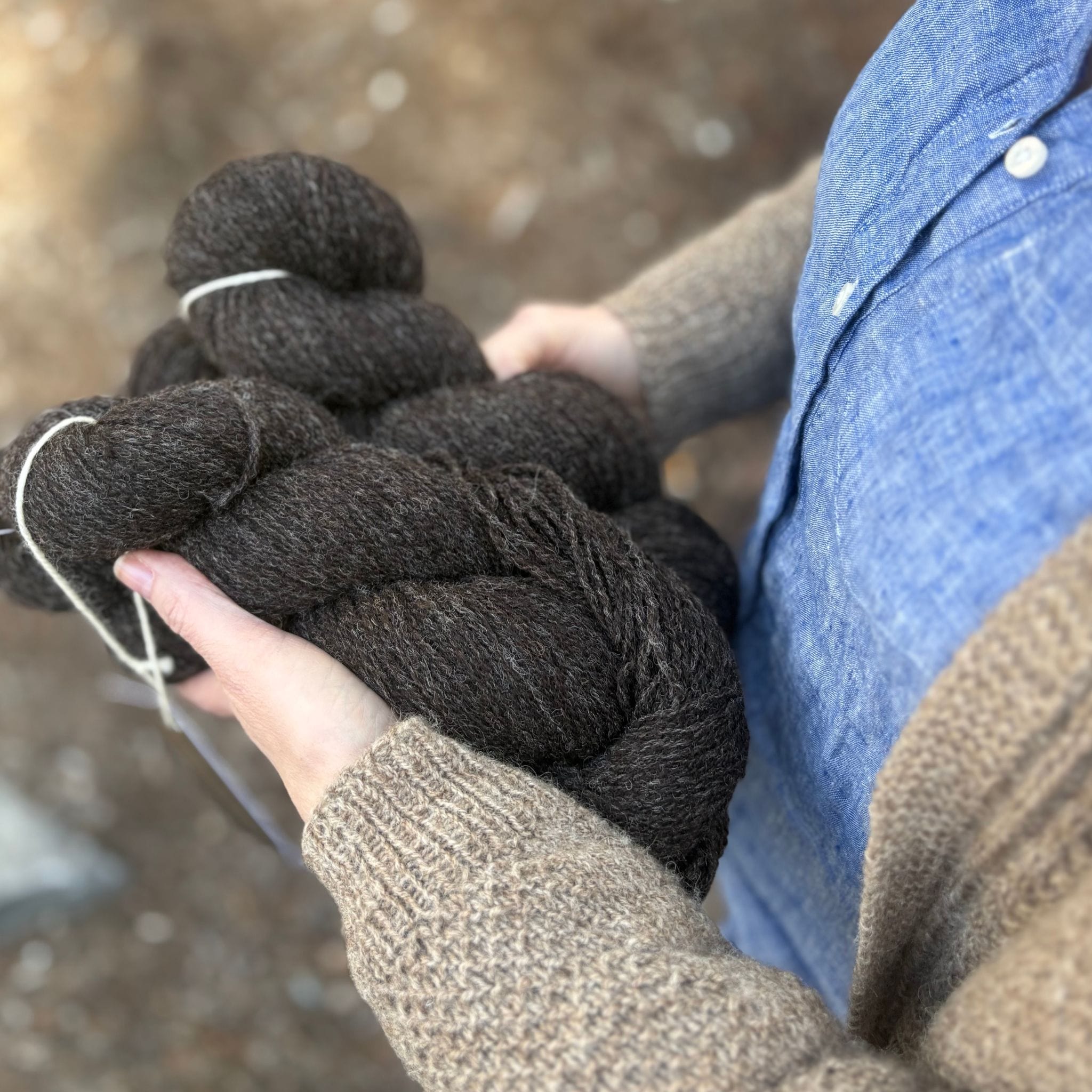 Zwartbles & Blue Texel 4ply Limited Edition – The Woolly Thistle