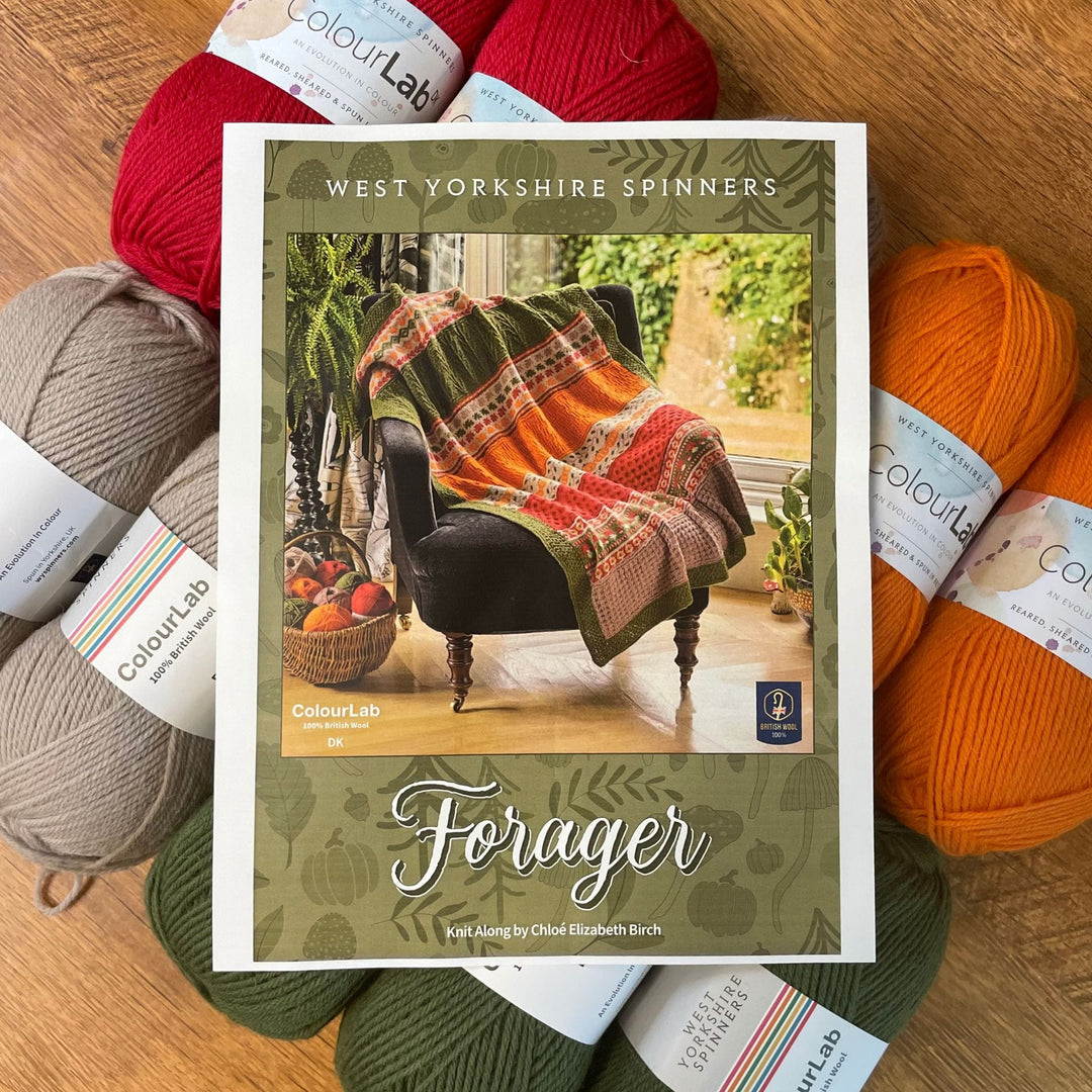 Forager Blanket by Chloe Elizabeth Birch in ColourLab DK