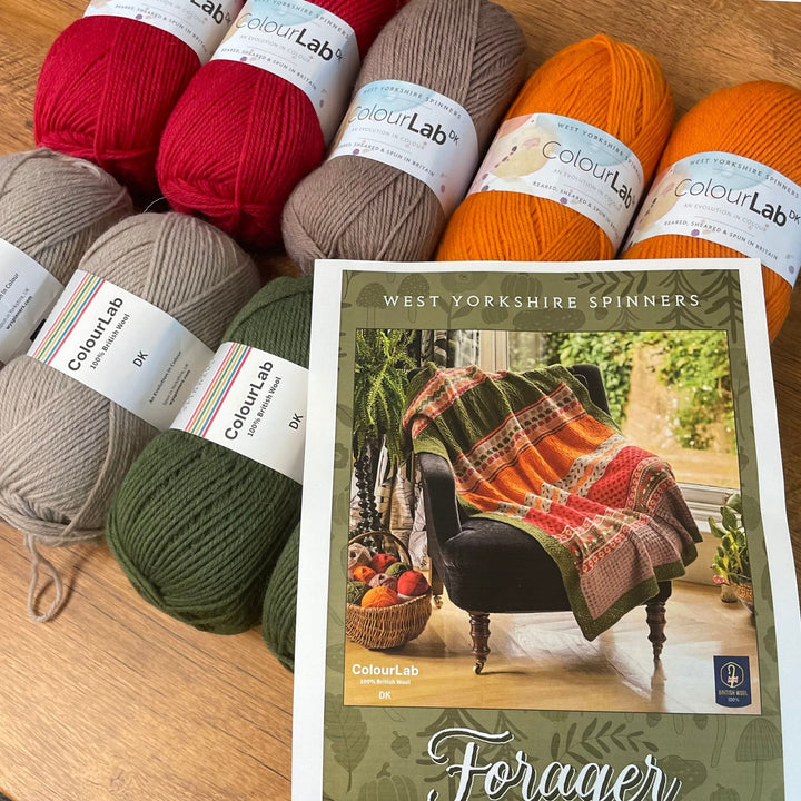 Forager Blanket by Chloe Elizabeth Birch in ColourLab DK