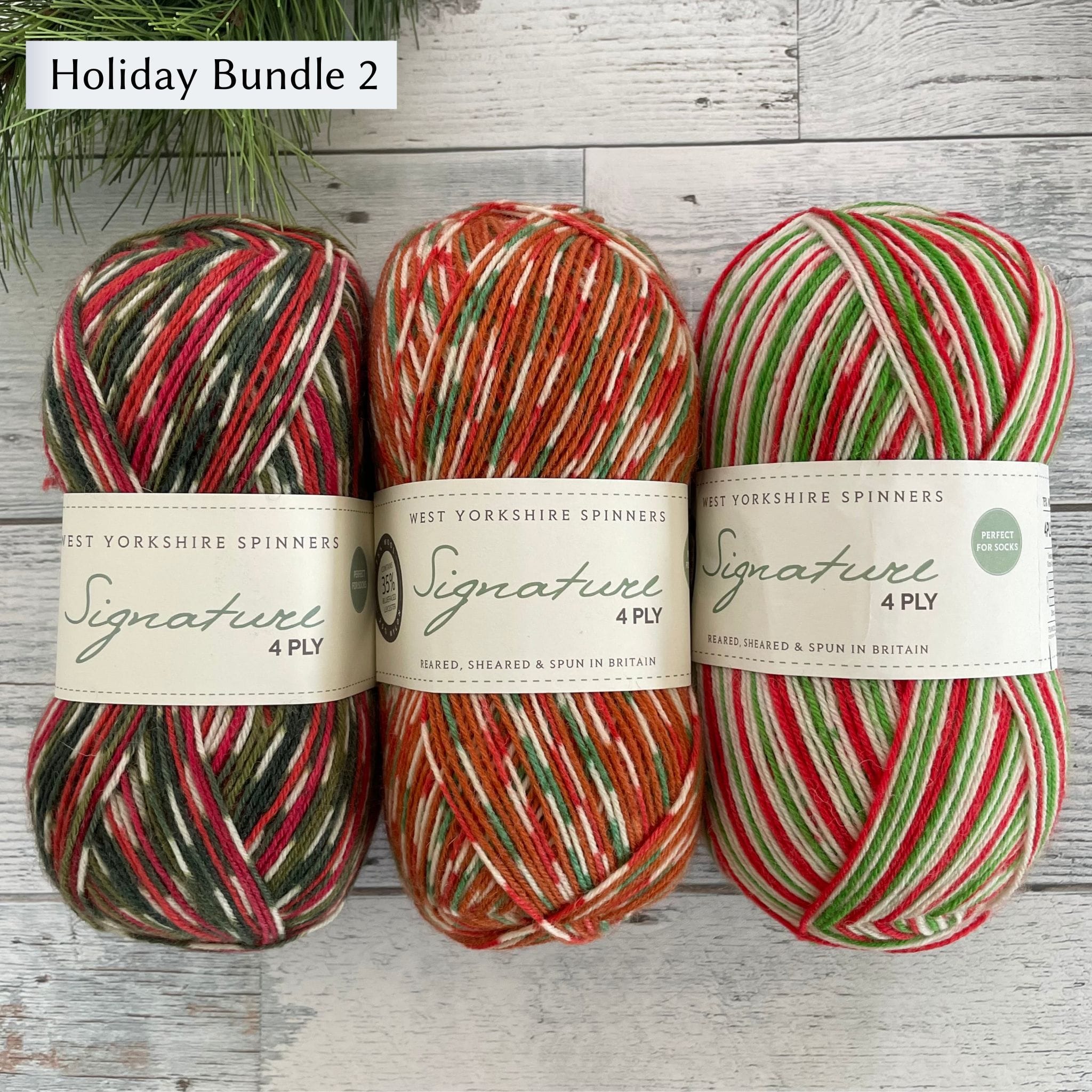 West Yorkshire Spinners (WYS) Signature 4 ply Yarn - Holiday