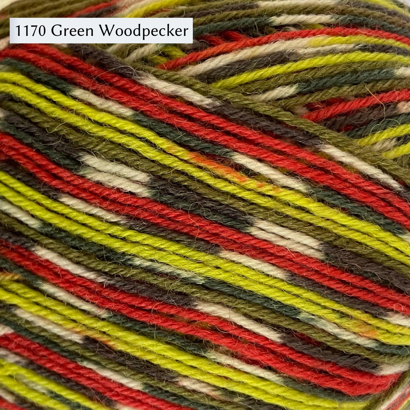 West Yorkshire Spinners (WYS) Signature 4 ply Yarn - Multicolored