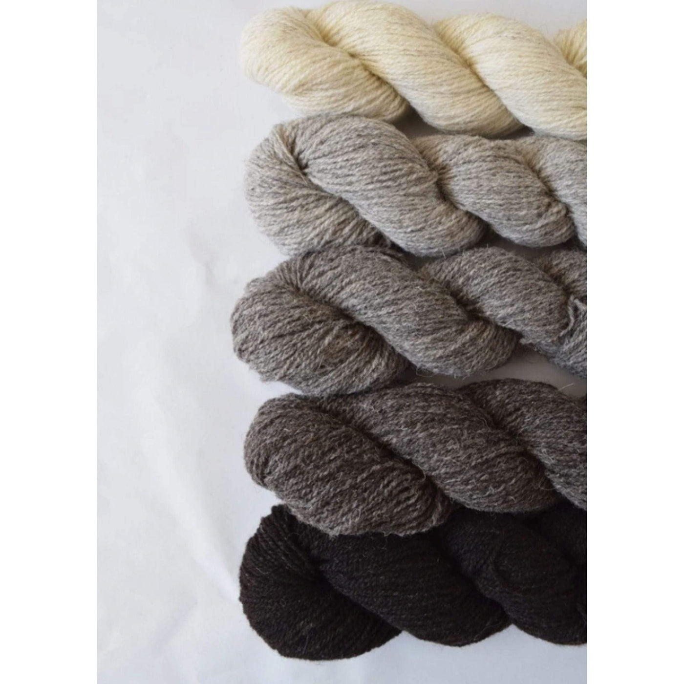 The Woolly Thistle Ram Jam Sport 2ply yarn from Daughter of a Shepherd in 5 colors: Natural White, Light Grey, Inbetween Grey, Mid Grey, Natural Black