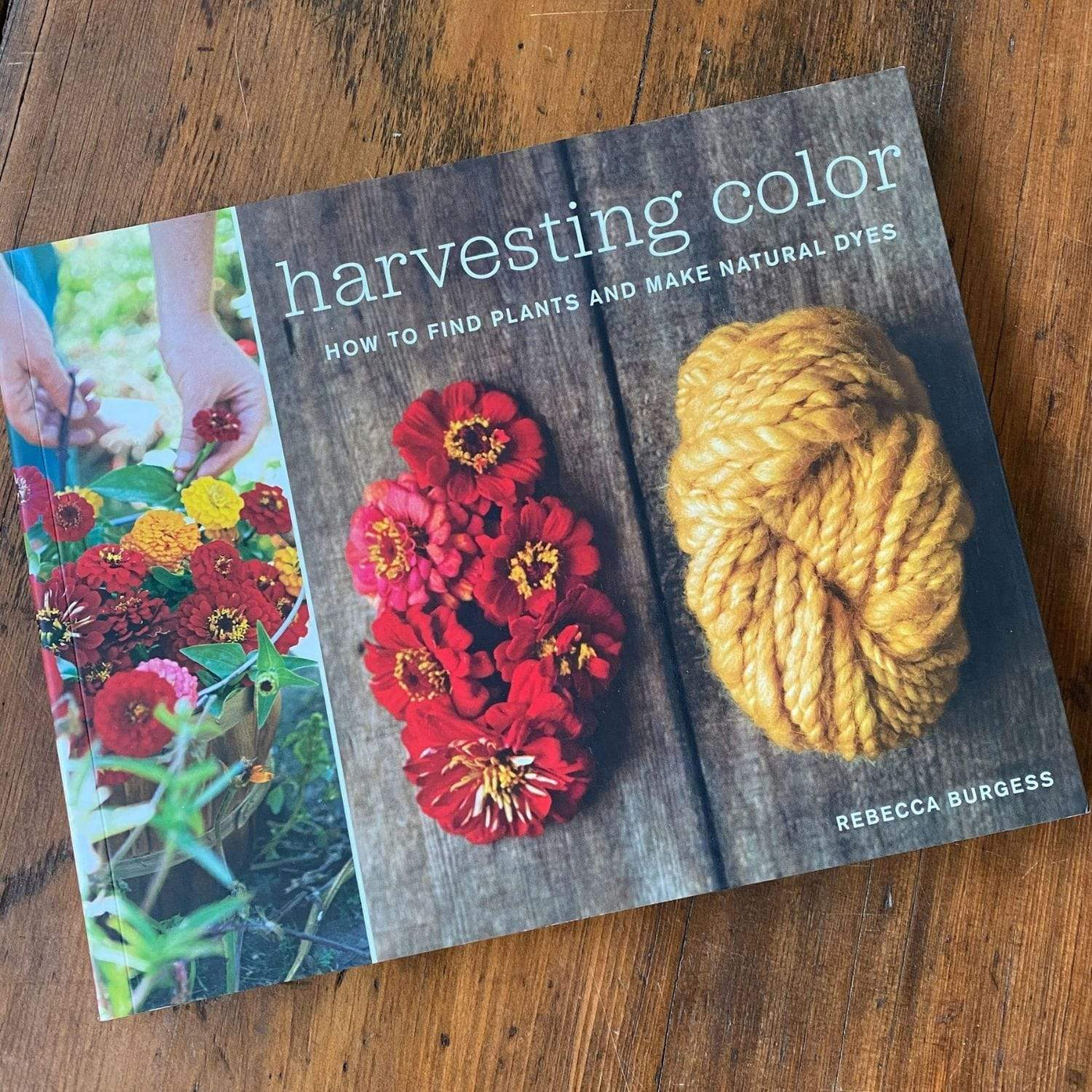 Harvesting Color: How to Find Plants and Make Natural Dyes by Rebecca Burgess