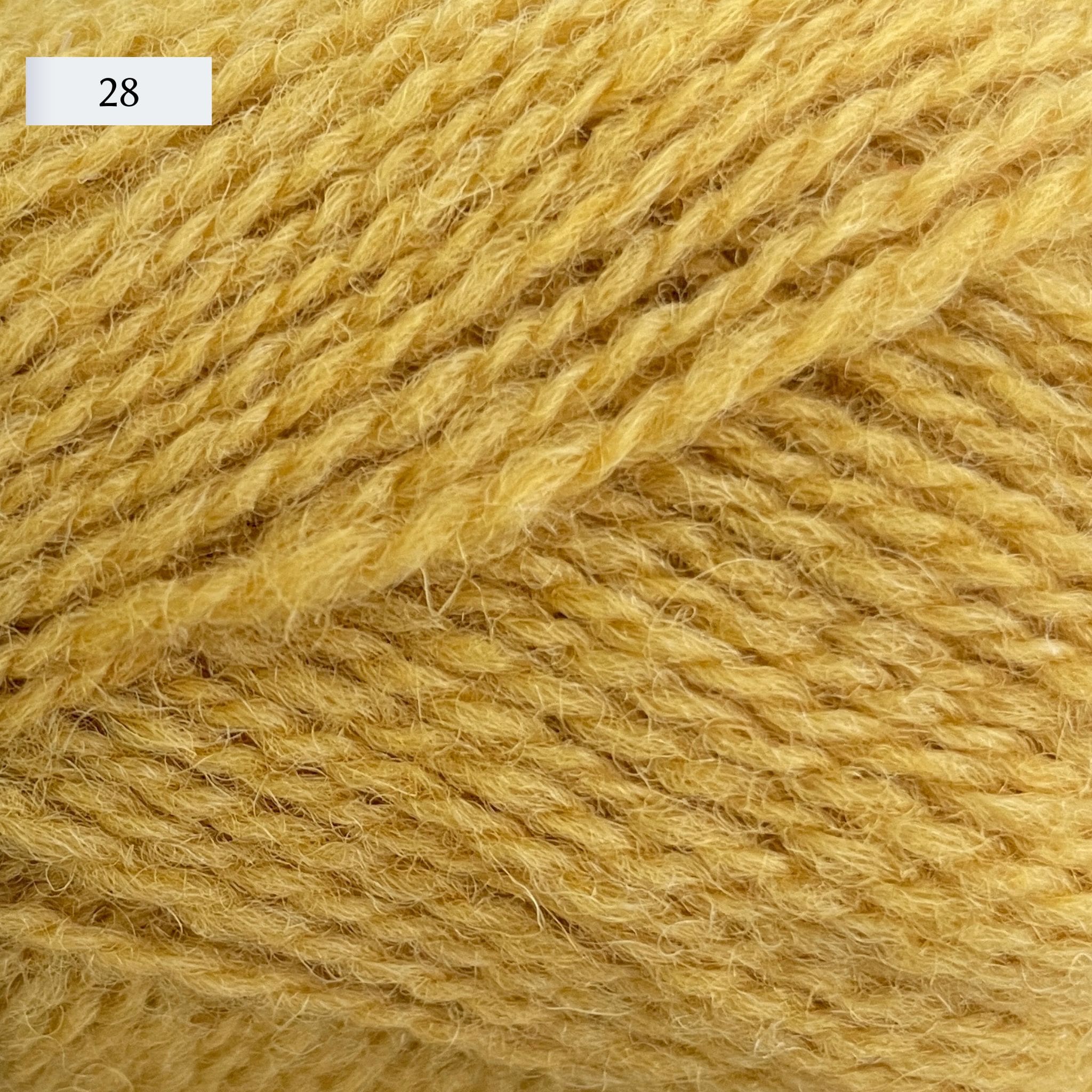 Jamieson & Smith 2ply Jumper Weight, light fingering weight yarn, in color 28, a muted primary yellow