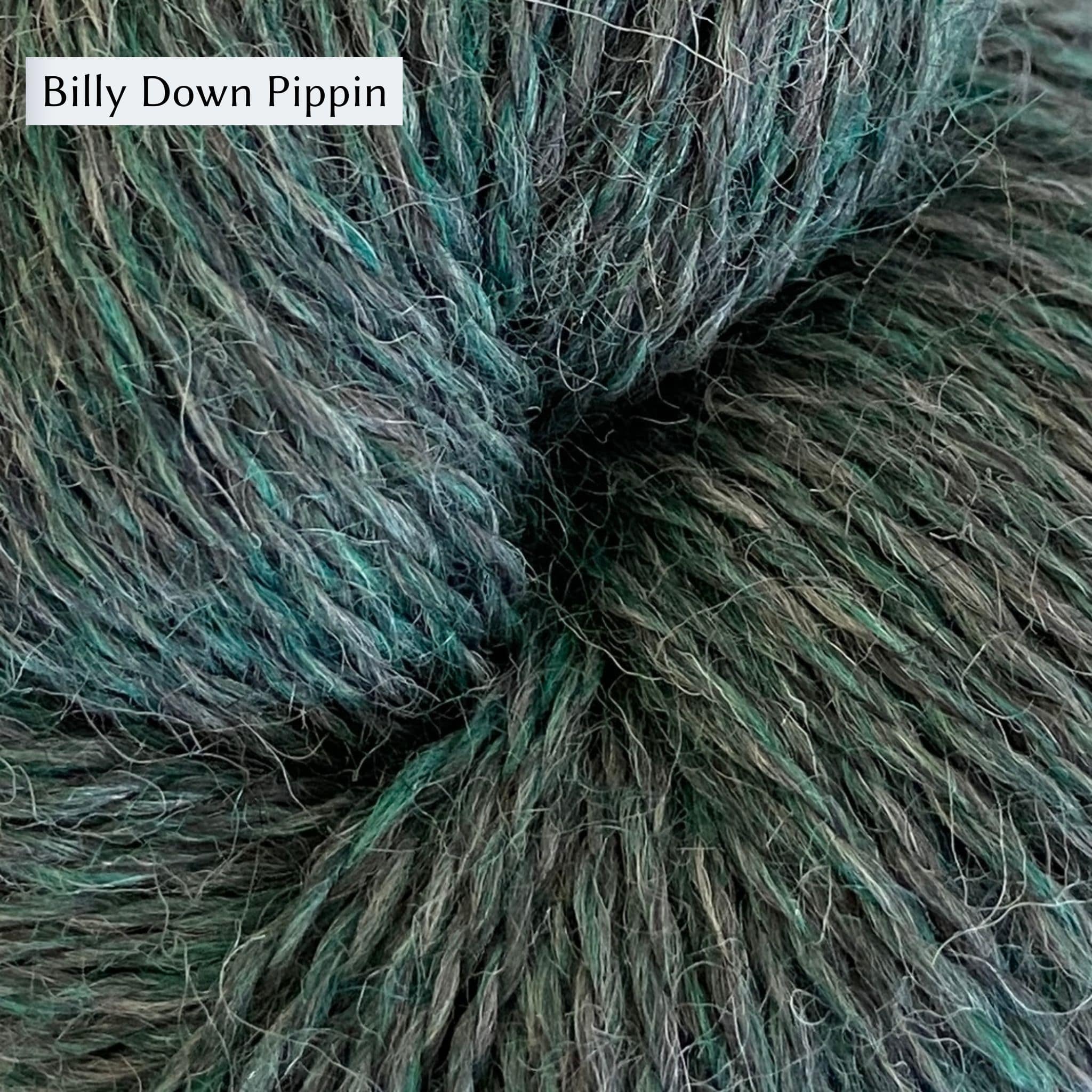 John Arbon Appledore DK, a DK weight British yarn, in color Billy Down Pippin, a cool green with grey 