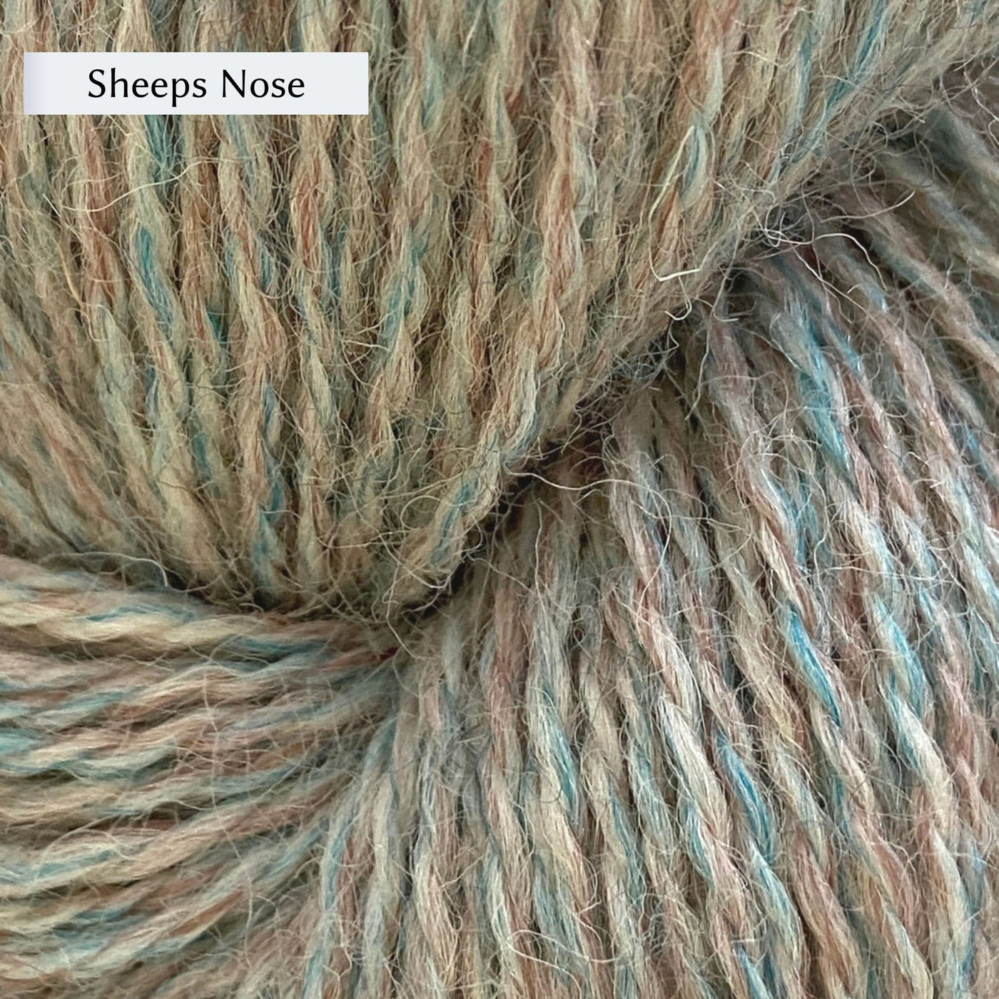 John Arbon Appledore DK, a DK weight British yarn, in color Sheeps Nose, a natural with heathering of teal and brown