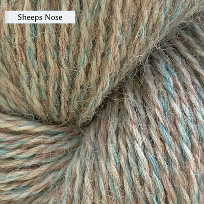 John Arbon Appledore DK, a DK weight British yarn, in color Sheeps Nose, a natural with heathering of teal and brown