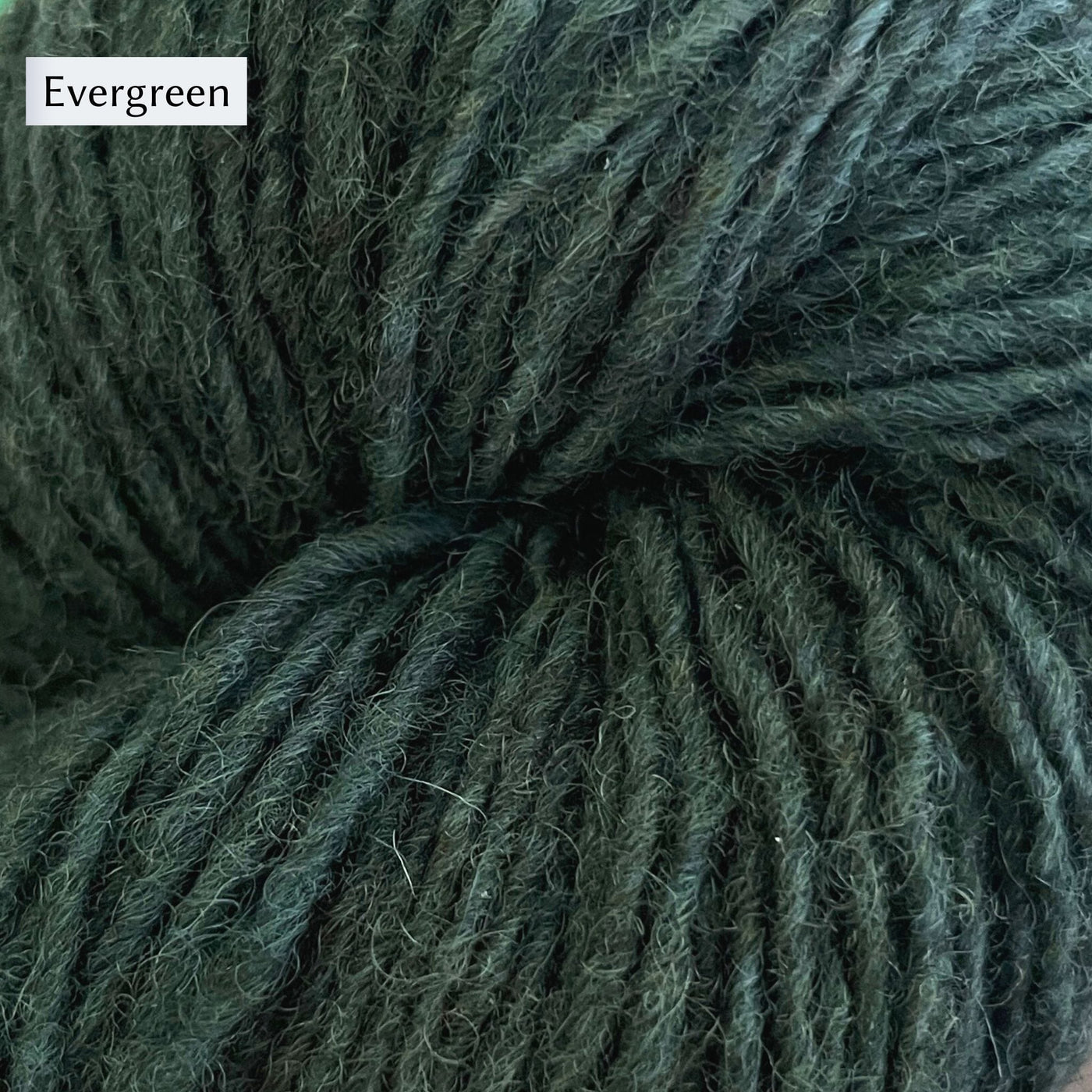Lichen & Lace Rustic Heather Sport, a sport weight single-ply yarn, in Evergreen, a cool green