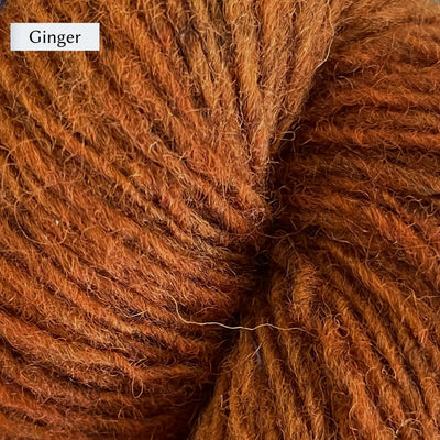 Lichen & Lace Rustic Heather Sport, a sport weight single-ply yarn, in color Ginger, a warm rusty orange