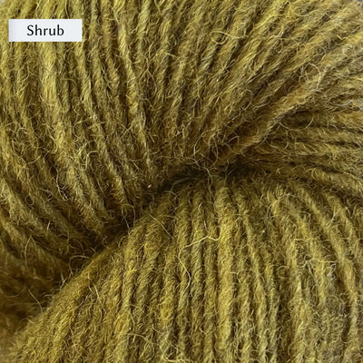 Lichen & Lace Rustic Heather Sport, a sport weight single-ply yarn, in color Shrub, a yellowy grass green