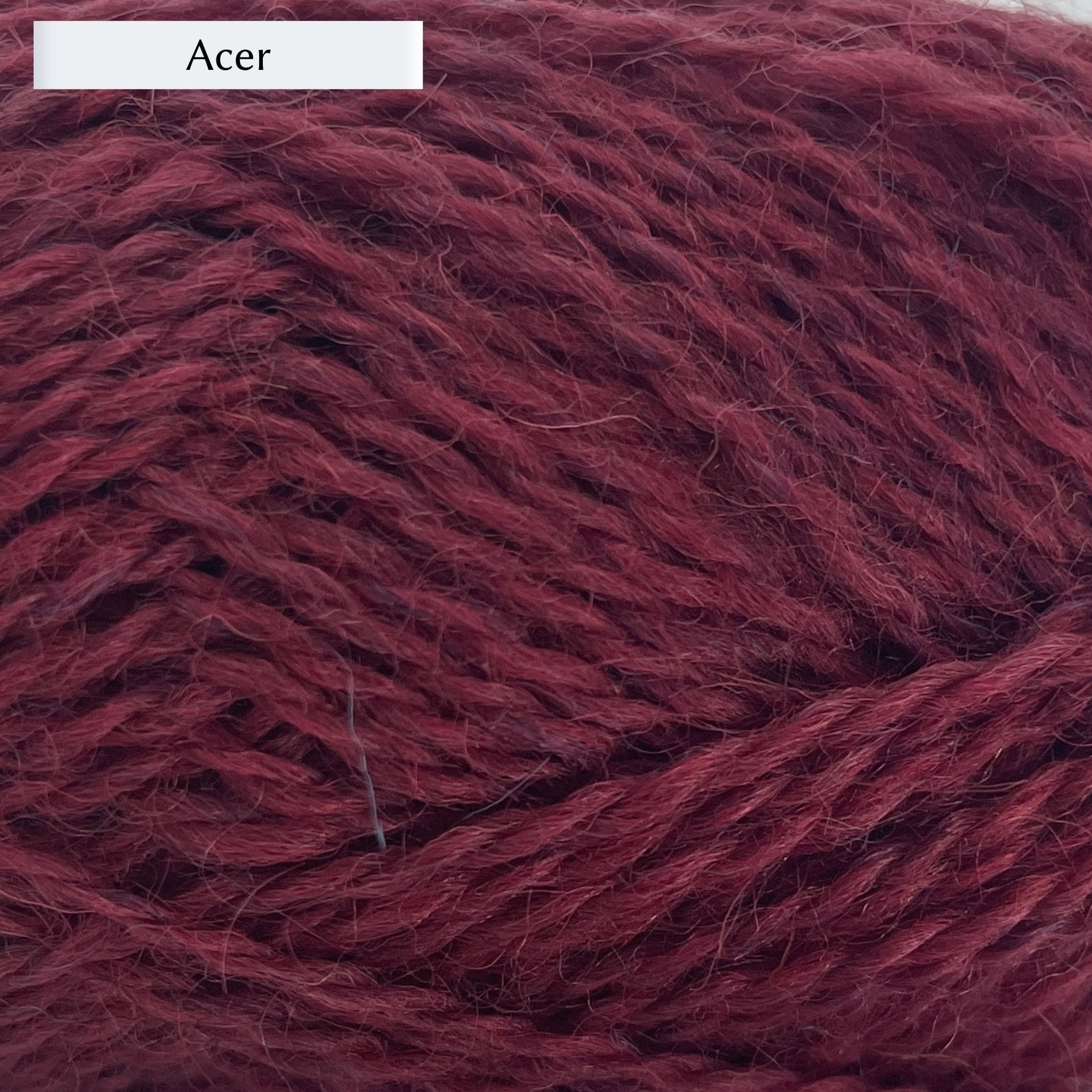 Marie Wallin's British Breeds yarn, a fingering weight, in color Acer, a deep burgundy