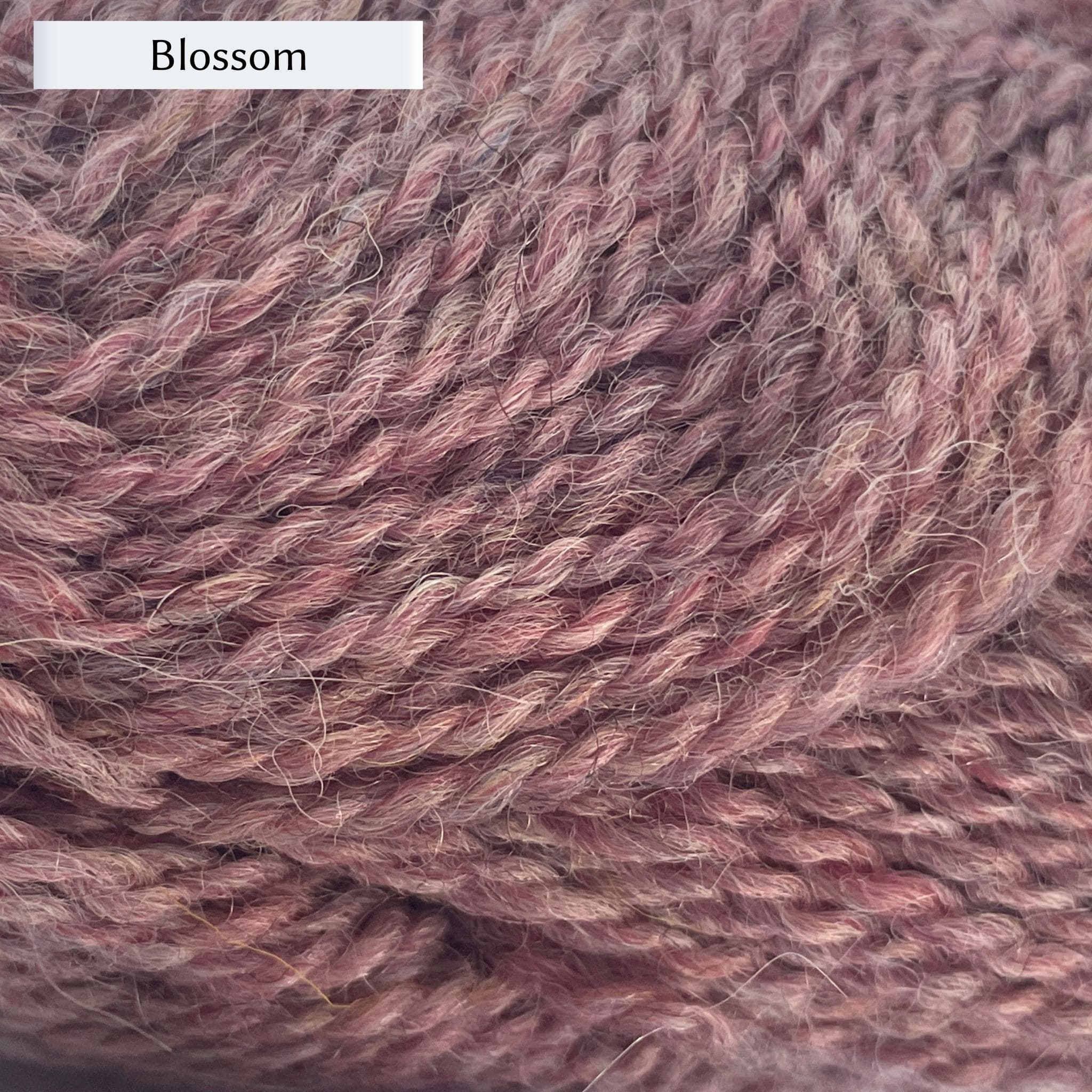 Marie Wallin's British Breeds yarn, a fingering weight, in color Blossom, a ballet pink