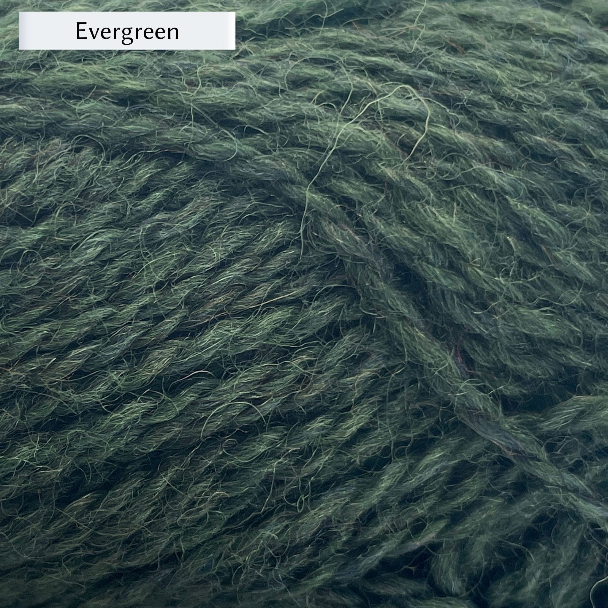 Marie Wallin's British Breeds yarn, a fingering weight, in color Evergreen, a pine green