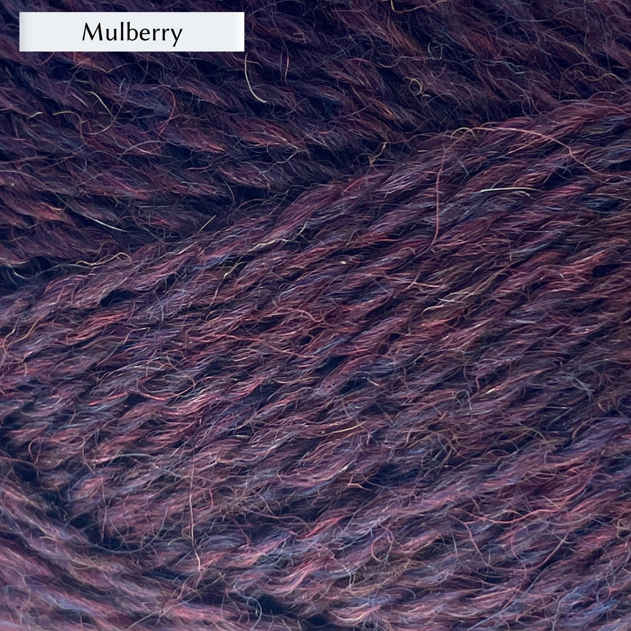 Marie Wallin's British Breeds yarn, a fingering weight, in color Mulberry, a warm royal purple