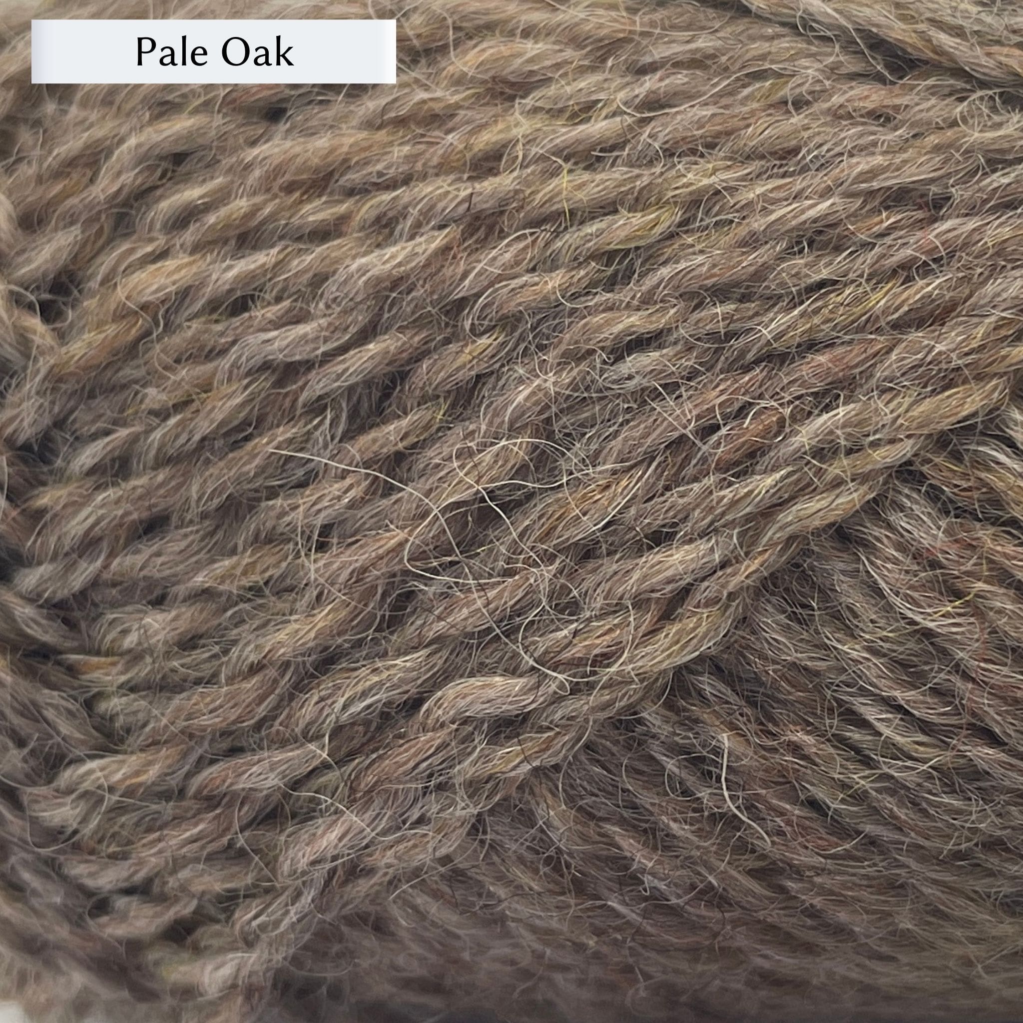 Marie Wallin's British Breeds yarn, a fingering weight, in color Pale Oak, a warm natural tan