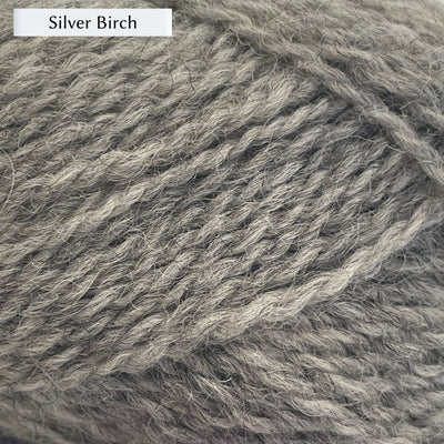 Marie Wallin's British Breeds yarn, a fingering weight, in color Silver Birch, a silver grey