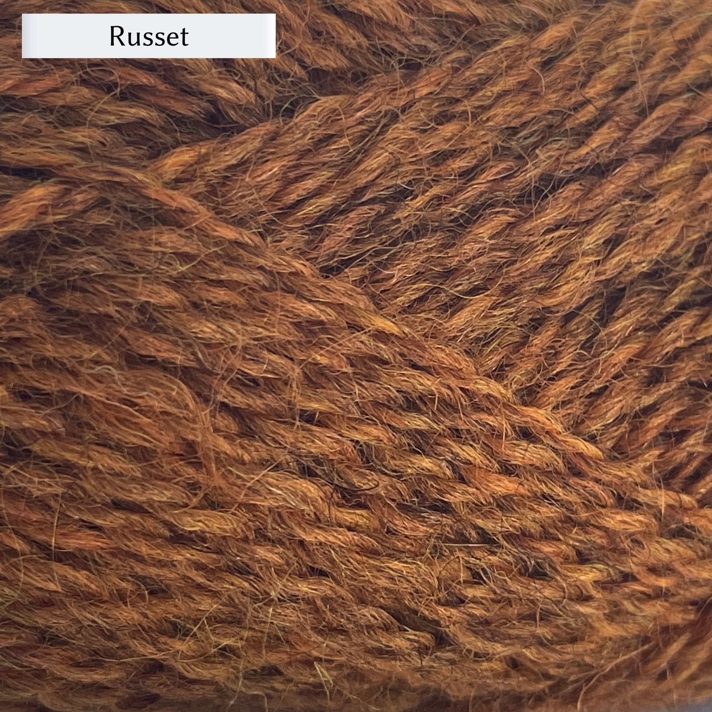 Marie Wallin's British Breeds yarn, a fingering weight, in color Russet, a warm deep brown