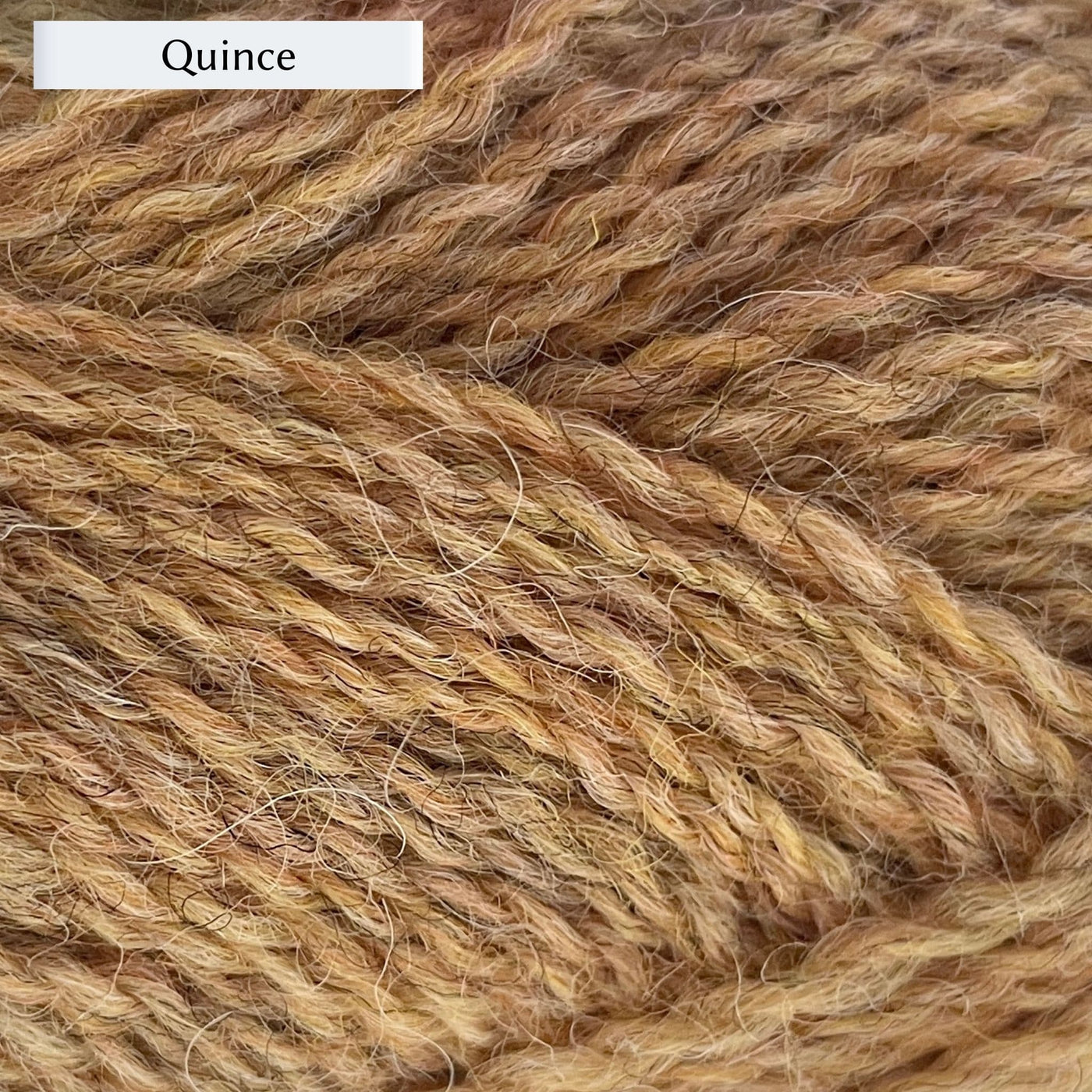 Marie Wallin's British Breeds yarn, a fingering weight, in color Quince, a warm straw yellow