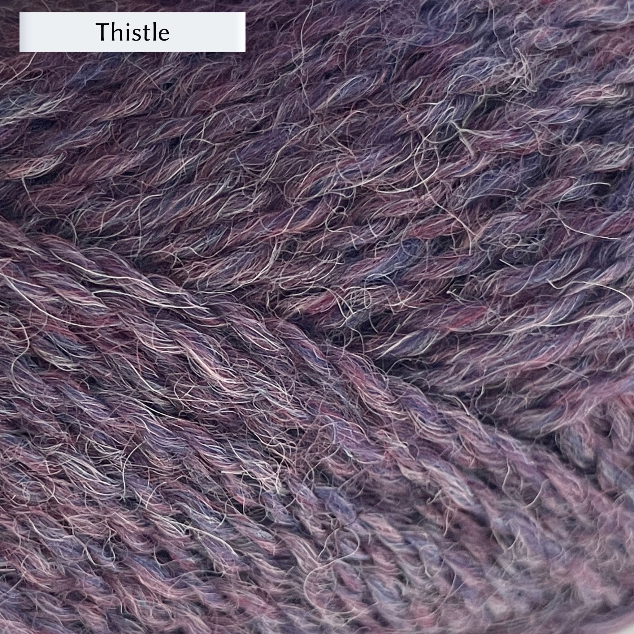 Marie Wallin's British Breeds yarn, a fingering weight, in color Thistle, a deep lavender purple