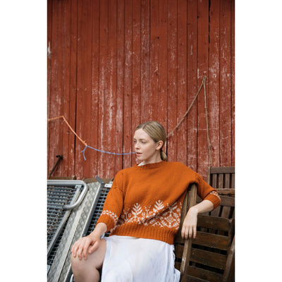 Suolaulu Sweater Yarn Set in Finullgarn from Knitted Kalevala